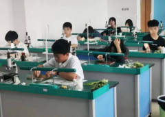 坚持五育并举促进学生全面发展以教育质